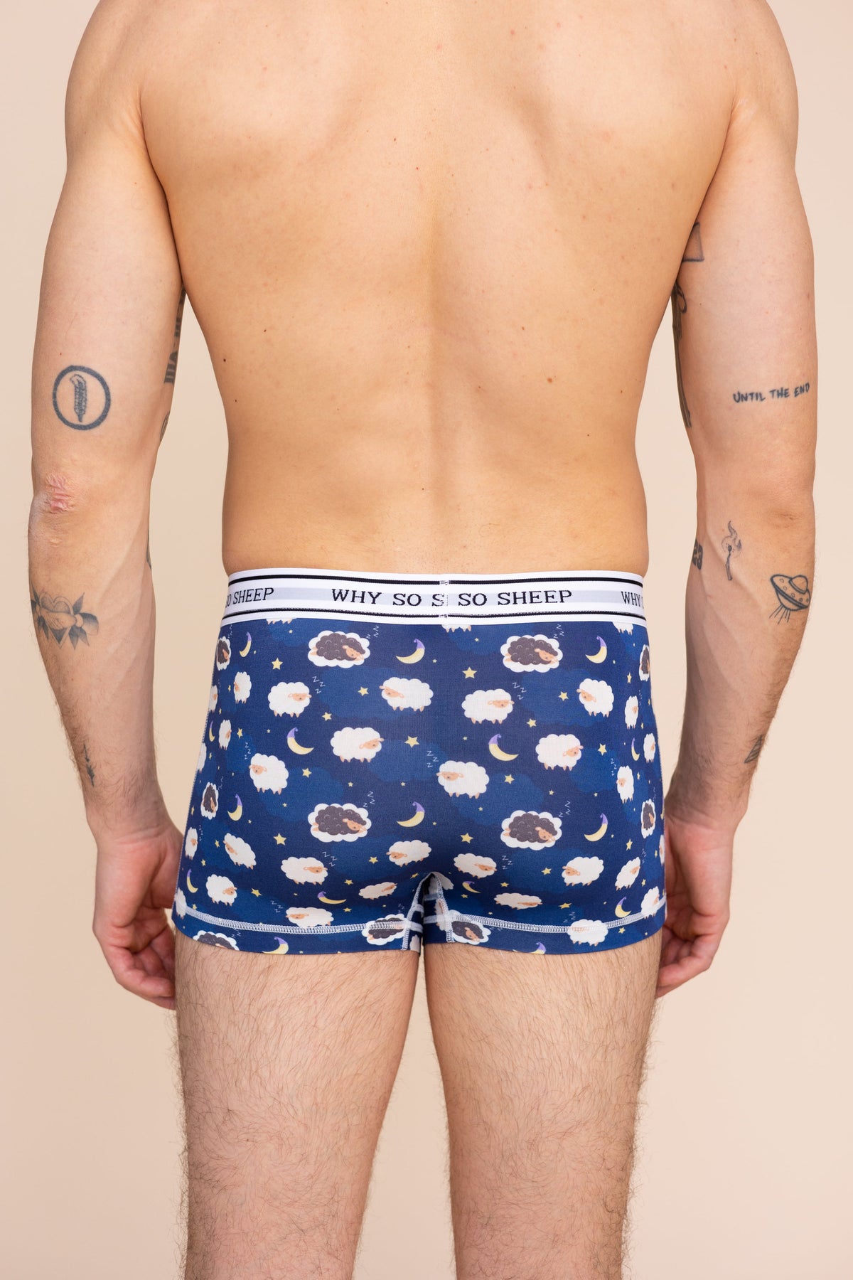Boxer Court "WHY SO SHEEP"